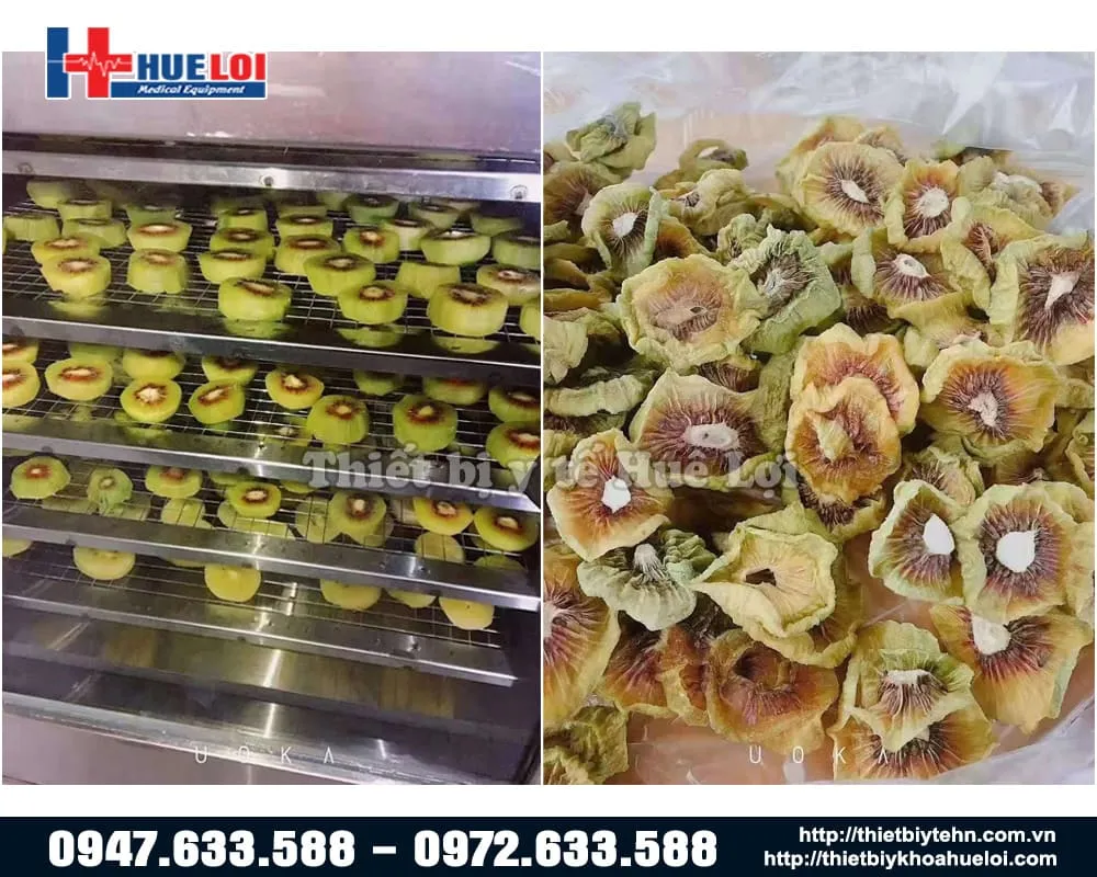 Hình ảnh dược liệu trước và sau khi sấy