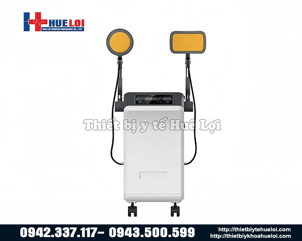 Máy vi sóng trị liệu giảm đau 2 đầu