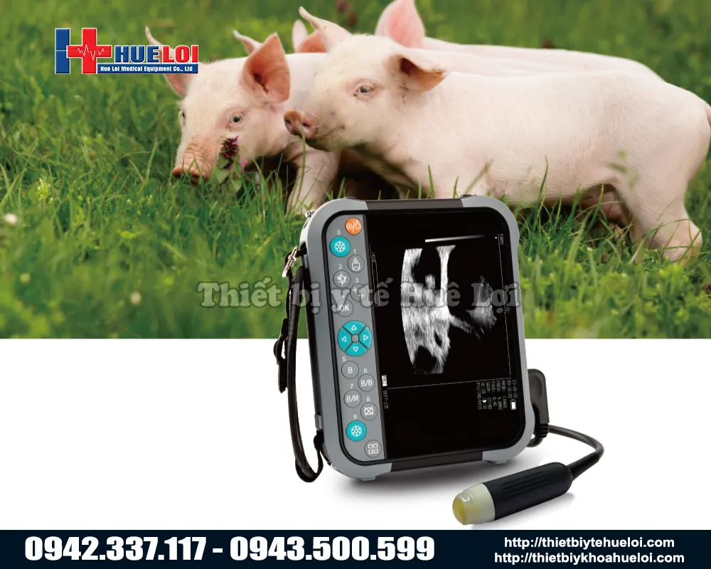 Thiết bị chẩn đoán hình ảnh thú y xách tay 2d giá rẻ