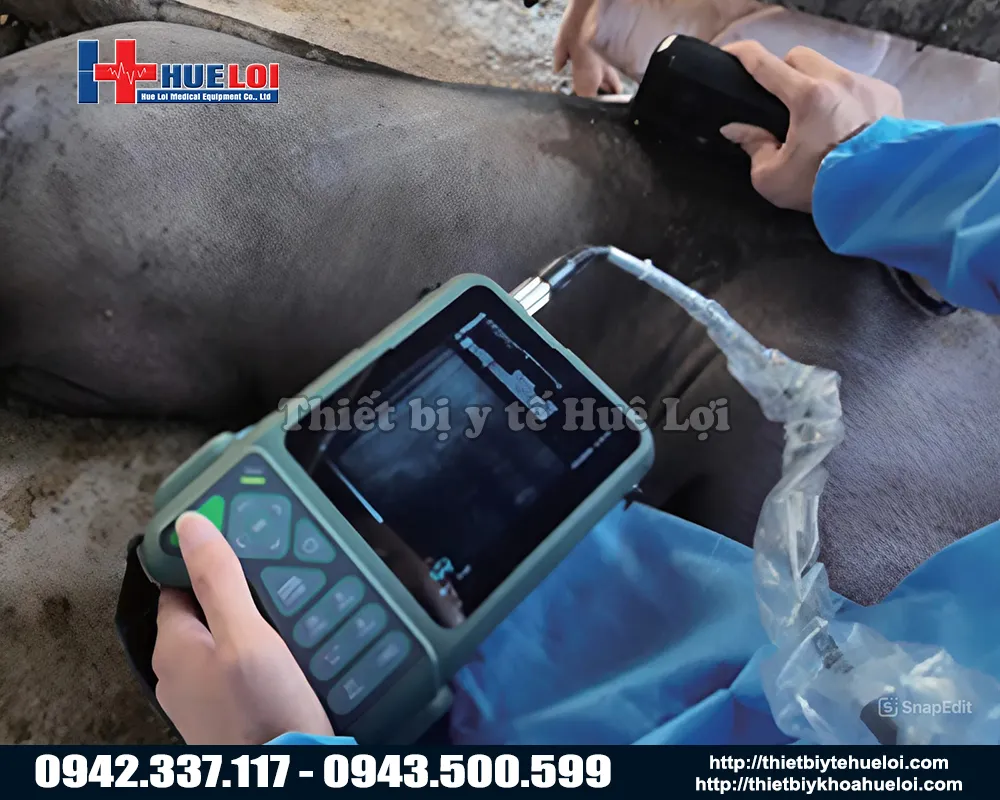 Máy siêu âm thai thú y cho trang trại di động