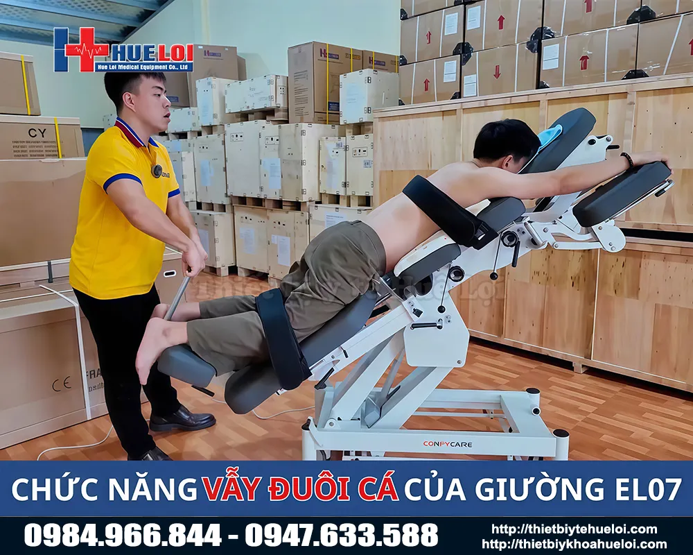 Tính năng vẩy đuôi cá ở giường tác động cột sống el07