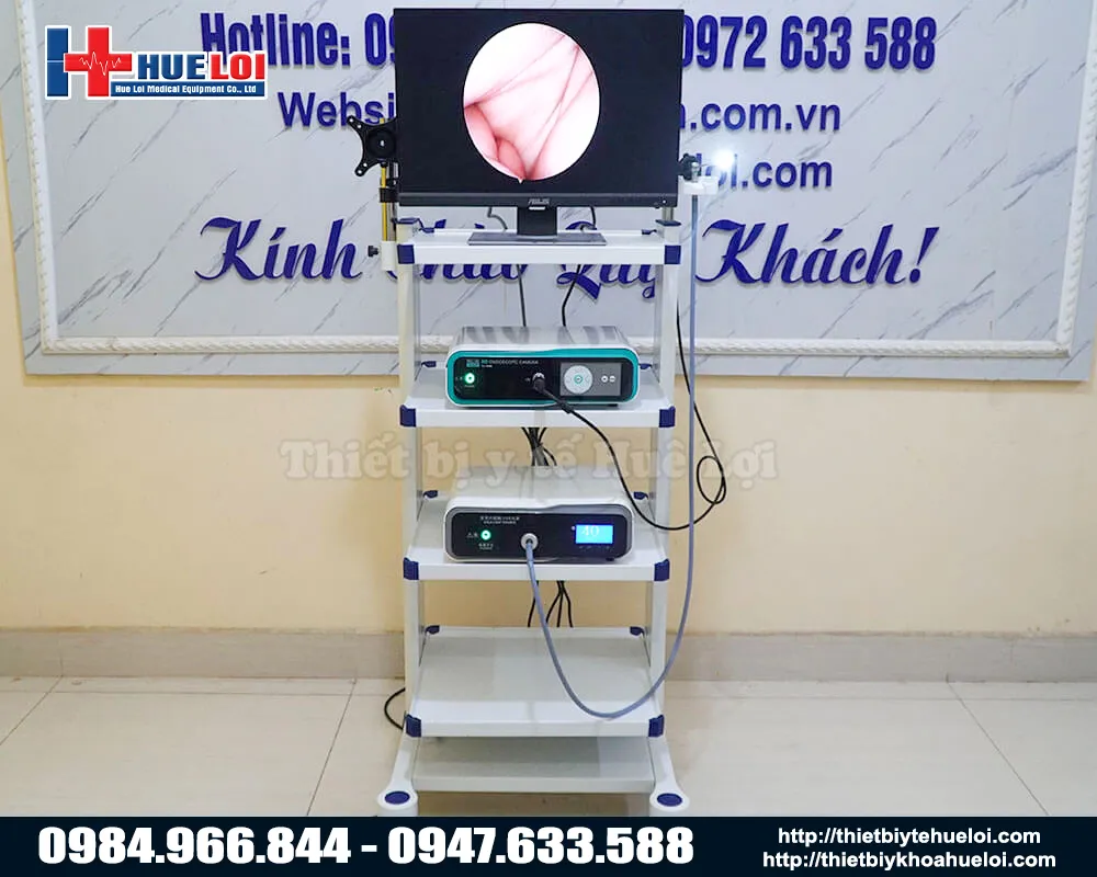 Máy nội soi tai mũi họng full hd tj168b