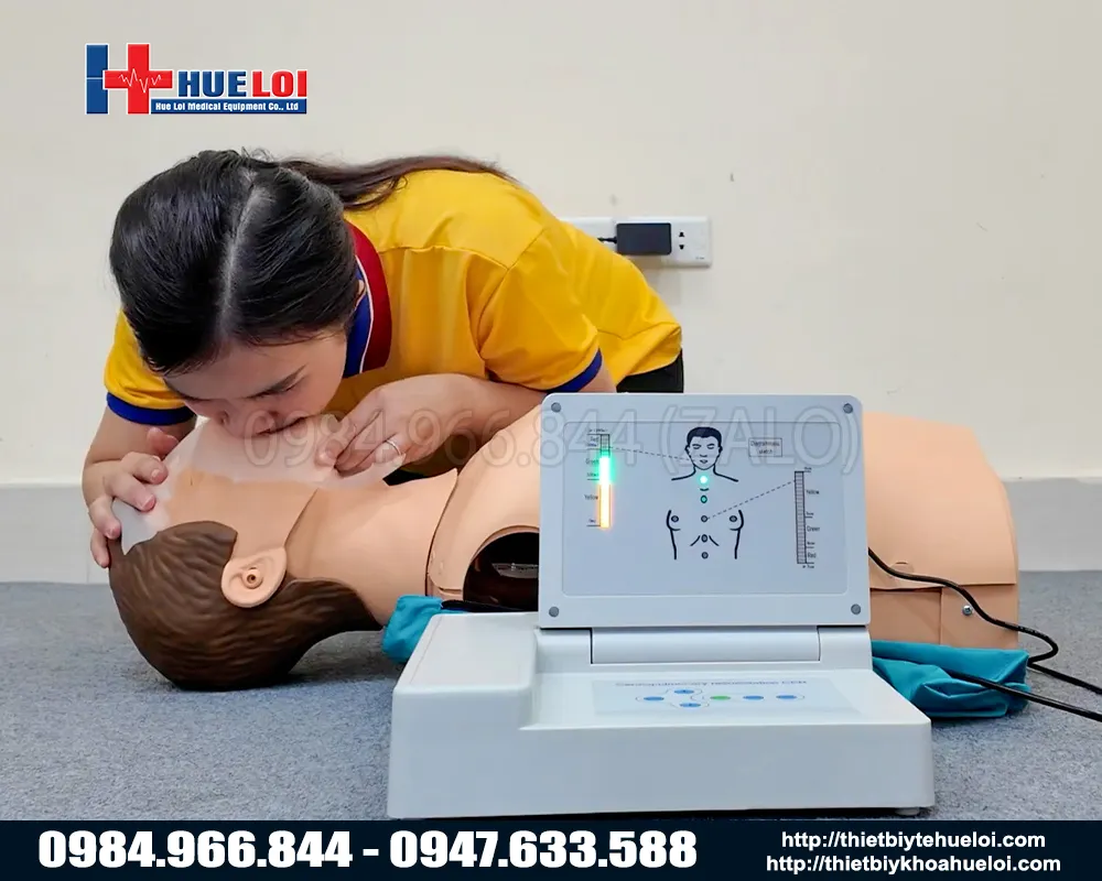 mô hình thực hành ép tim thổi ngạt