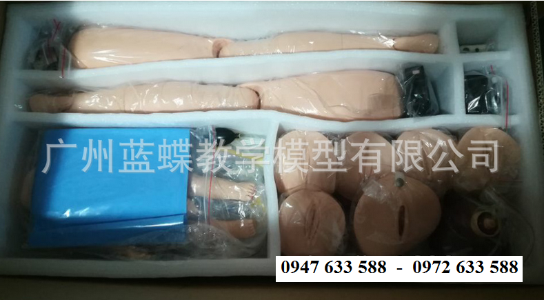Mô hình đỡ đẻ cao cấp