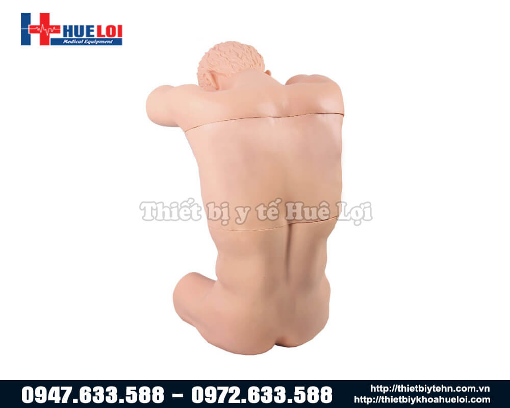 mô hình thực hành chọc dịch màng phổi